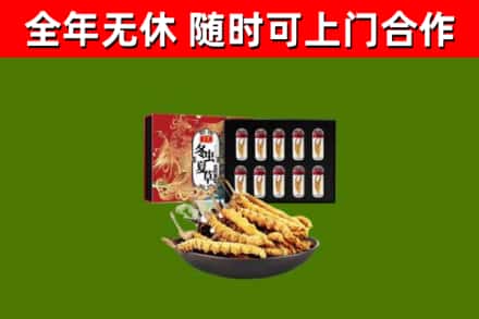 日照烟酒回收冬虫夏草礼盒.jpg