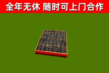 日照回收海参